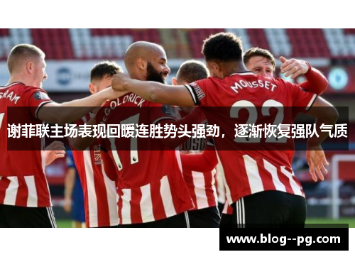 谢菲联主场表现回暖连胜势头强劲,逐渐恢复强队气质 谢菲联主场表现回暖连胜势头强劲,逐渐恢复强队气质