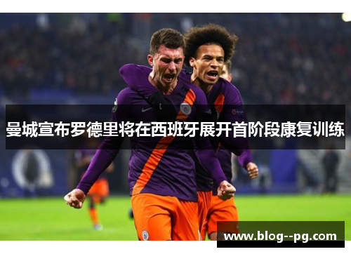 曼城宣布罗德里将在西班牙展开首阶段康复训练 曼城宣布罗德里将在西班牙展开首阶段康复训练