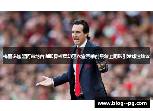 梅里诺加盟阿森纳首训即骨折震动更衣室赛季前景蒙上阴影引发球迷热议